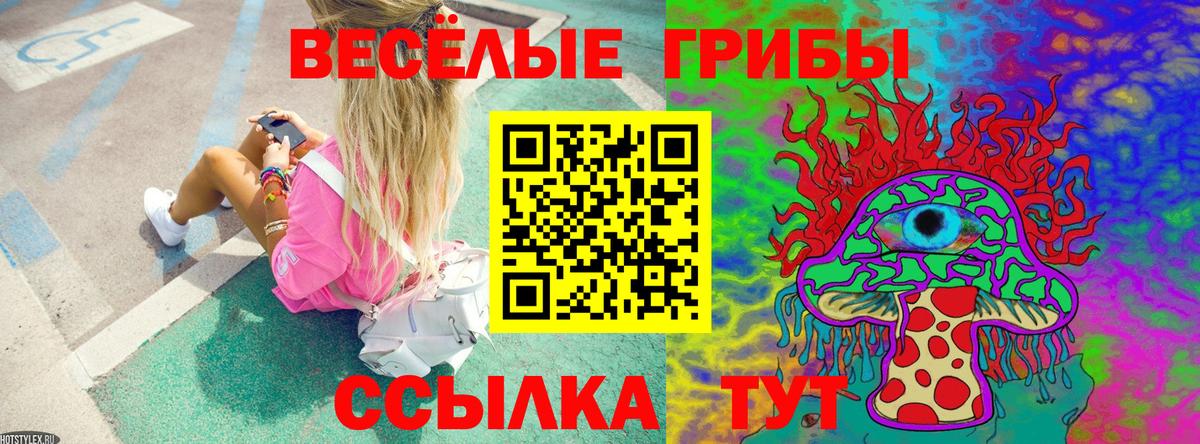 Псилоцибиновые грибы Cubensis  Псилоцибиновые грибы мицелий  Вход с VPN  Медногорск 